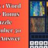 4 Pics 1 Word Daily Bonus Puzzle November 30 2024 Answer