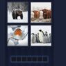 4 Pics 1 Word Daily Puzzle December 4 2024 Answer