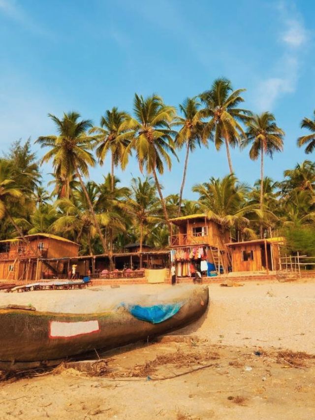 7 Reasons Why Winter Is The Best Time To Visit Goa